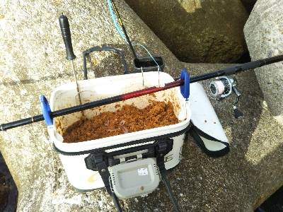 久し振りの垂水一文字