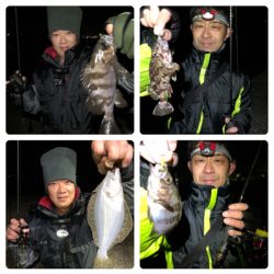 メバリング/ボラリング/ナイトゲーム☆