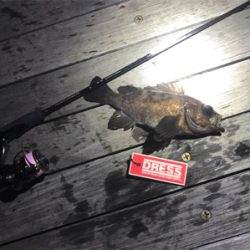 リアルクレセント