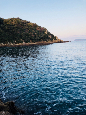 朝マズメで一杯