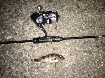 和歌山メバル行脚！