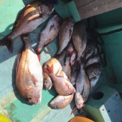 鯛サビキ  瀬戸大橋付近  大量！