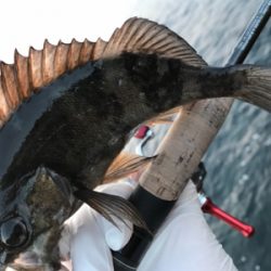 んん~(釣行 其の拾参)