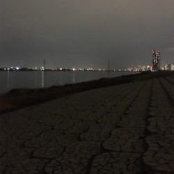 18年淀川 初釣果