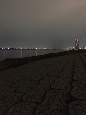 18年淀川 初釣果