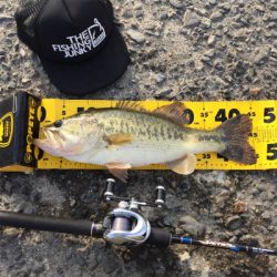 18春 初バス‼︎45㎝