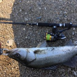 一投目でヒット