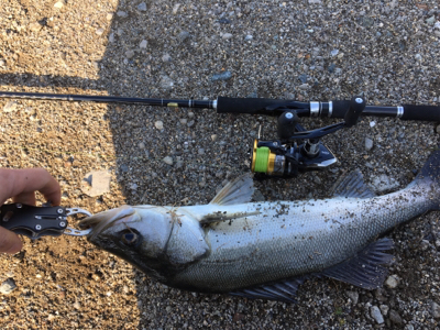 一投目でヒット