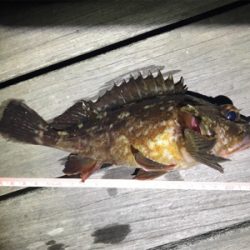 渋い、そして寒い