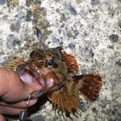 寒い中の釣行。もっと暖かいかと…