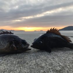 夜通し頑張って…