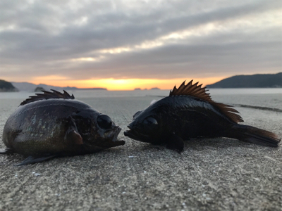 夜通し頑張って…