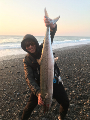 ショアからメーターサワラ