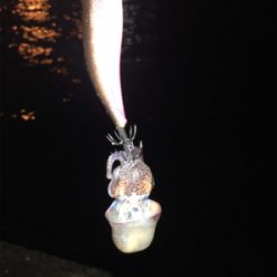 エギングで？？？