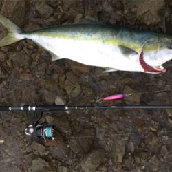 ショアプラッキング