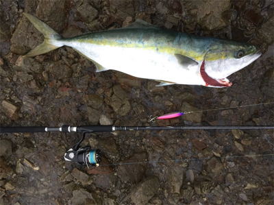 ショアプラッキング