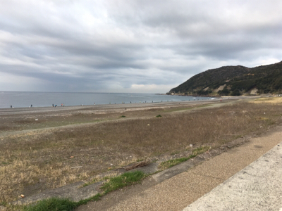 ショアプラッギング