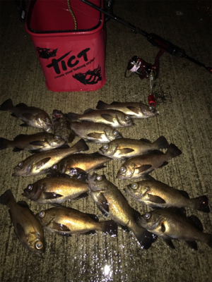 暴風釣りバカ❗️