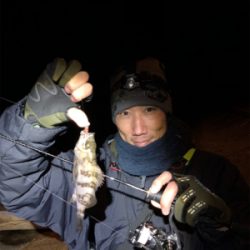 メバリングナイトゲーム♪シーバシング♪