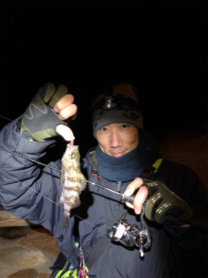 メバリングナイトゲーム♪シーバシング♪