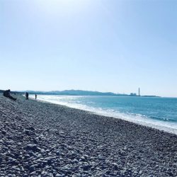 青物チャレンジ