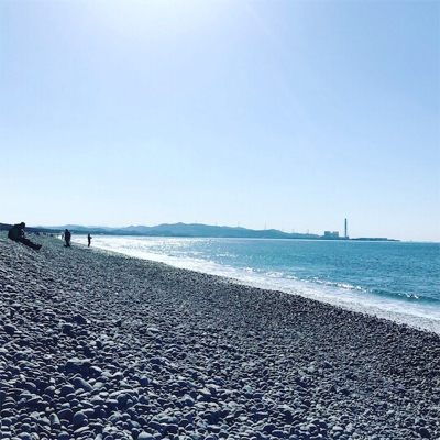 青物チャレンジ