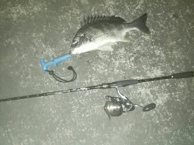 最後の最後に❗