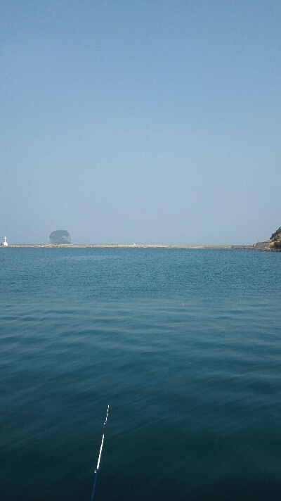 2018年3月25日釣行in呼子漁港