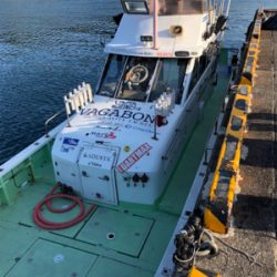 尾鷲イカメタル終盤