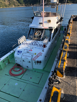 尾鷲イカメタル終盤