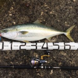 ブリブリブリ〜