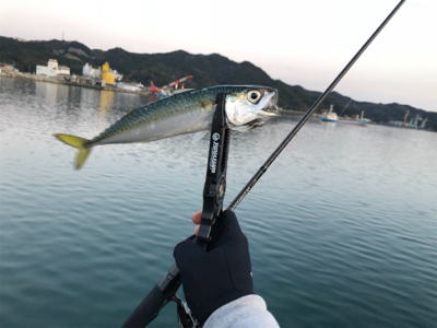 デビュー戦@福良