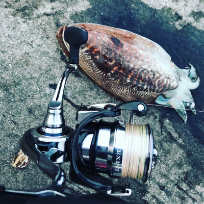 産卵シーズン個体狙いのコウイカランガンエギング