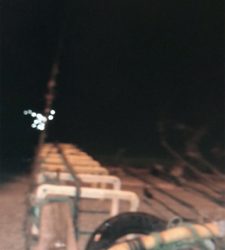 久々のイカ釣り