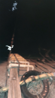 久々のイカ釣り