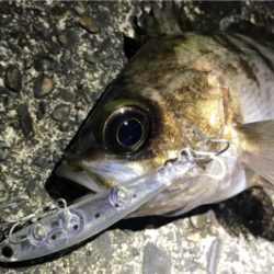 生命感を感じない…