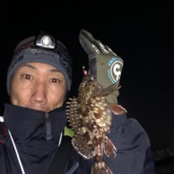 ガシリング ナイトゲーム☆