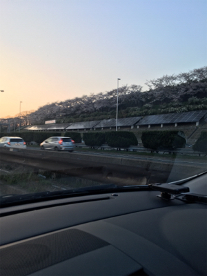 クエーーーーーー