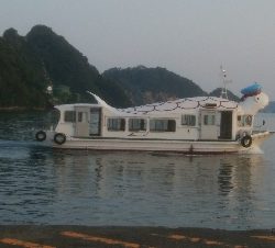 春イカ釣れた(^^)