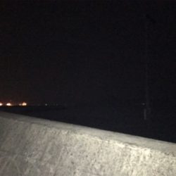 メバリング？いやガシリング