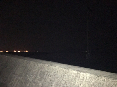 メバリング？いやガシリング