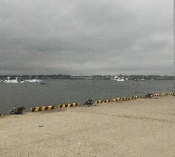 安定のロリメバルポンポン