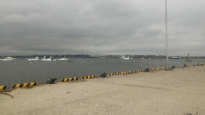 安定のロリメバルポンポン