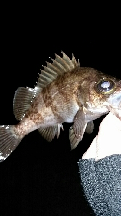 久しぶりの爆風