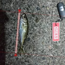 有田ランガン 3