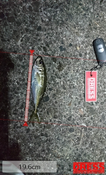 有田ランガン 3