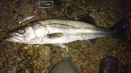 春一番、その後に！