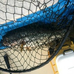 南湖レンタルボート