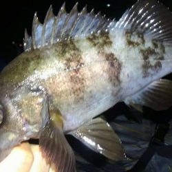 嬉しい25アップ！！