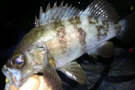 嬉しい25アップ！！